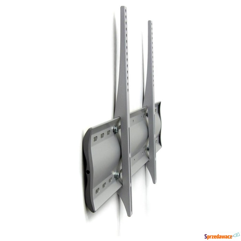 Ergotron WM Low Profile Wall Mount (srebrny) - Uchwyty do telewizorów - Włocławek