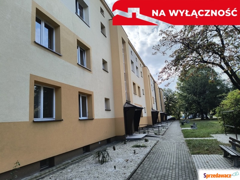 Mieszkanie dwupokojowe Tarnów,   63 m2 - Sprzedam