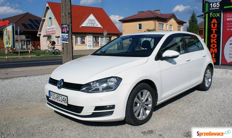 Volkswagen Golf  Hatchback 2013,  1.4 benzyna - Na sprzedaż za 34 700 zł - Ostrów Wielkopolski