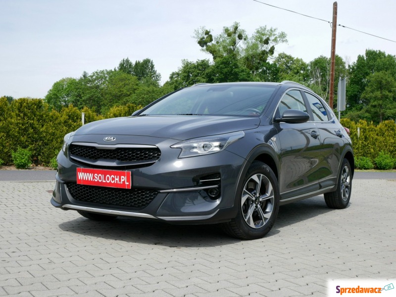 Kia XCeed - 1.0 T-GDI 120KM -Serwis ASO do końca... - Samochody osobowe - Goczałkowice-Zdrój