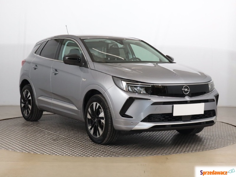 Opel   SUV 2023,  1.2 benzyna - Na sprzedaż za 104 999 zł - Zabrze