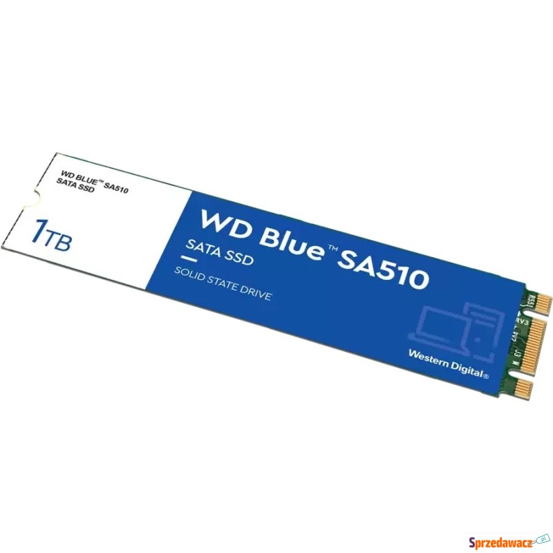 WD Blue SA510 M.2 1TB - Dyski twarde - Jelenia Góra