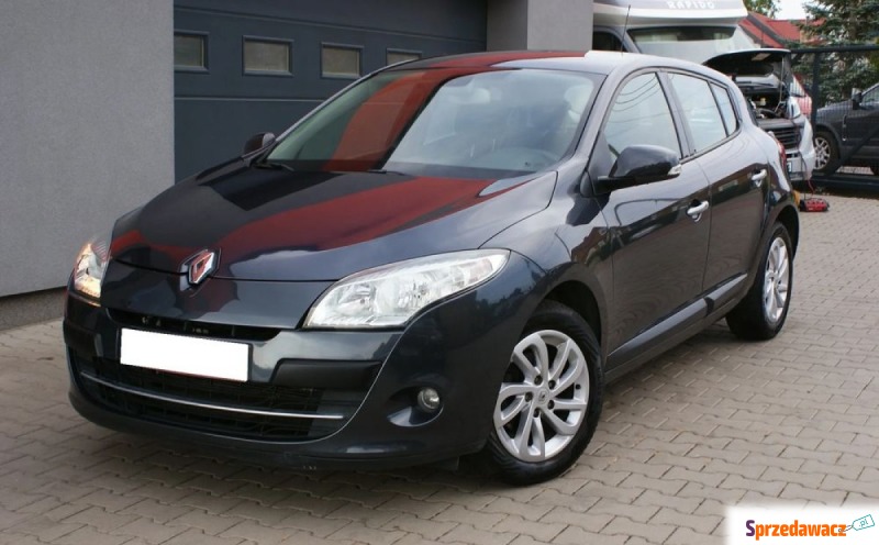 Renault Megane  Hatchback 2010,  1.6 benzyna - Na sprzedaż za 19 900 zł - Białystok