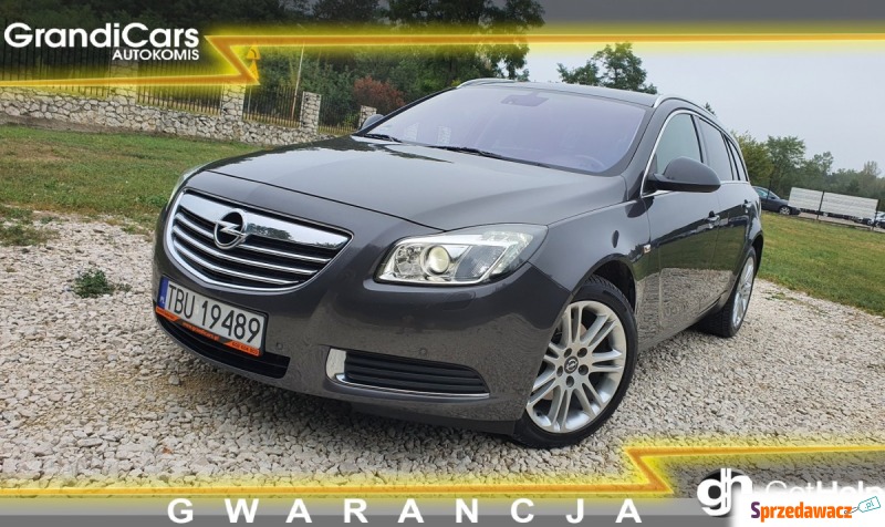 Opel Insignia  Kombi 2009,  2.0 benzyna - Na sprzedaż za 26 999 zł - Chmielnik