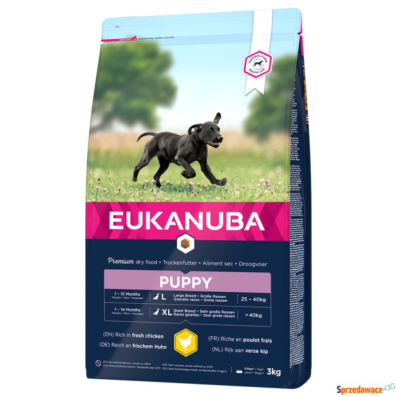 Eukanuba Puppy Large Breed, kurczak - 3 kg - Karmy dla psów - Warszawa