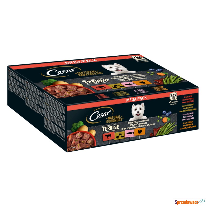 Cesar Natural Goodness Superfoods, 24 x 100 g... - Karmy dla psów - Ciechanów