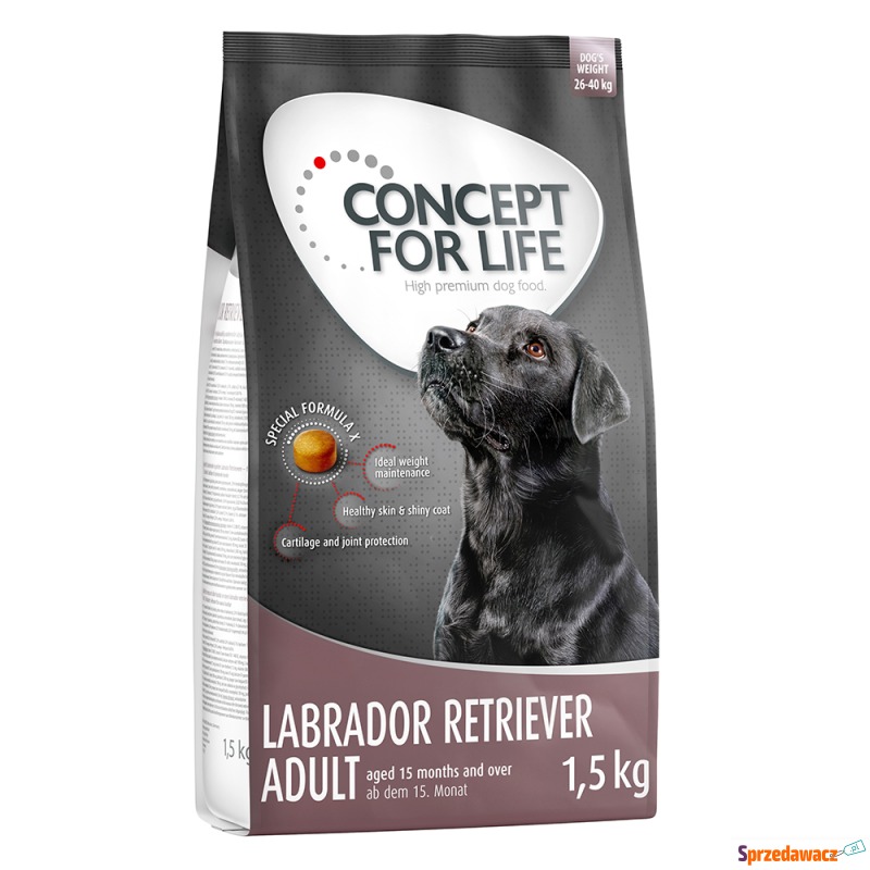 Concept for Life Labrador Retriever Adult - 4... - Karmy dla psów - Płock