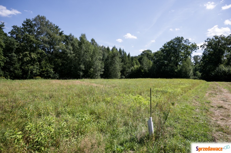 Działka Błonie sprzedam, pow. 6400 m2  (0.64ha)