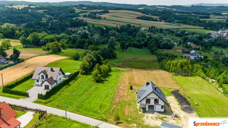 Działka siedlisko Zalasowa sprzedam, pow. 20 000 m2  (2ha)