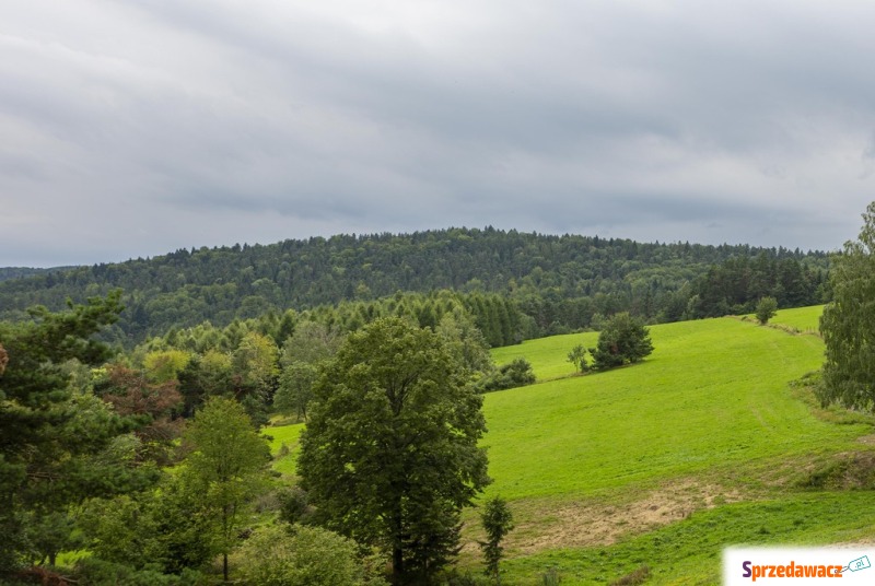 Działka budowlana Kiełczawa sprzedam, pow. 3000 m2  (30a)