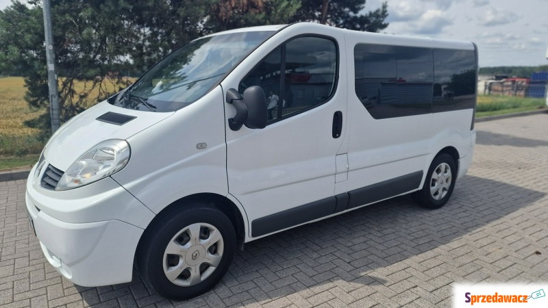 Renault Trafic  Bus 2014,  2.0 diesel - Na sprzedaż za 55 900 zł - Pleszew