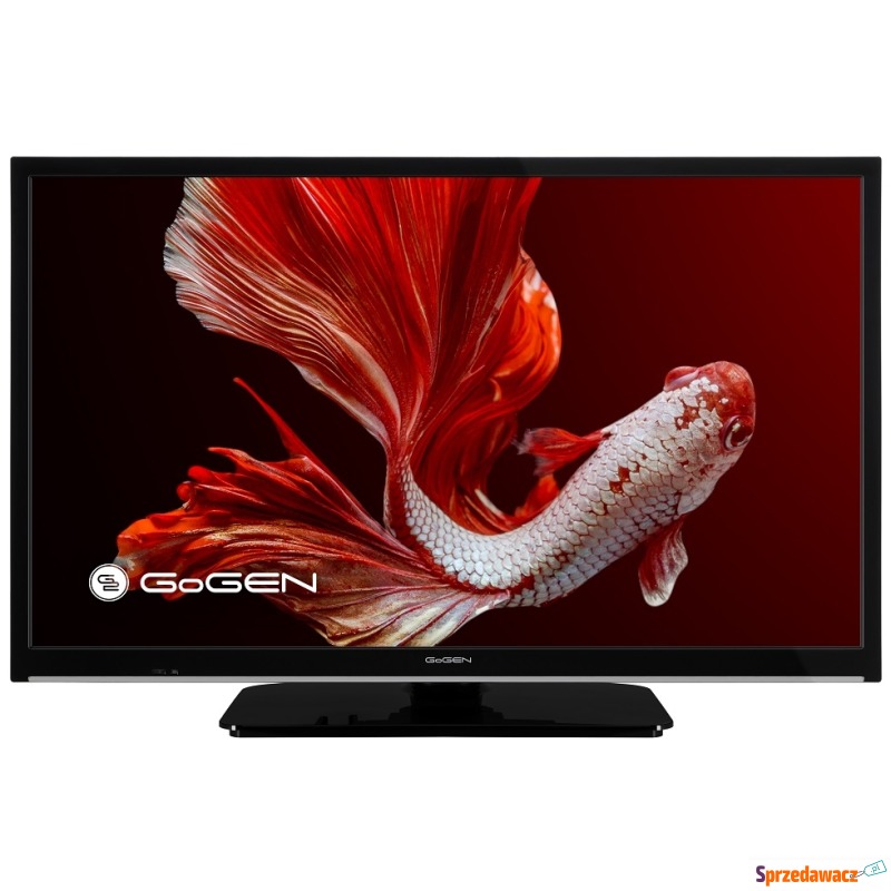 Telewizor Gogen LED 24" - TVH24P406STC 12V - Telewizory - Piła