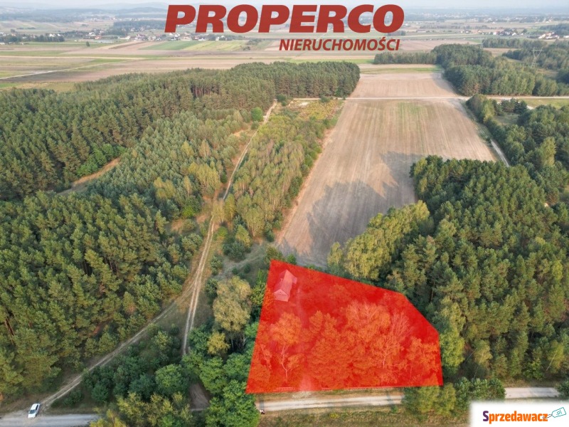 Sprzedam dom Promnik -  wolnostojący,  pow.  80 m2,  działka:   2300 m2