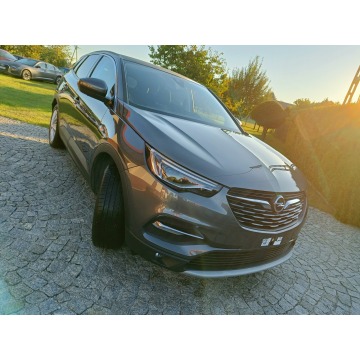 Opel Grandland X  SUV 2020,  1.6 hybryda, automat - Na sprzedaż za 70 110 zł - Rybnik - zdjęcie 10
