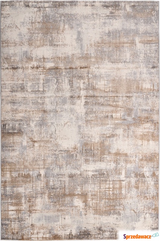 Dywan Salsa 691 120 x 170 cm taupe - Dywany, chodniki - Słupsk