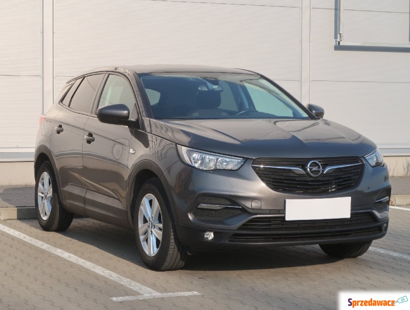 Opel   SUV 2018,  1.2 benzyna - Na sprzedaż za 62 999 zł - Zduńska Wola