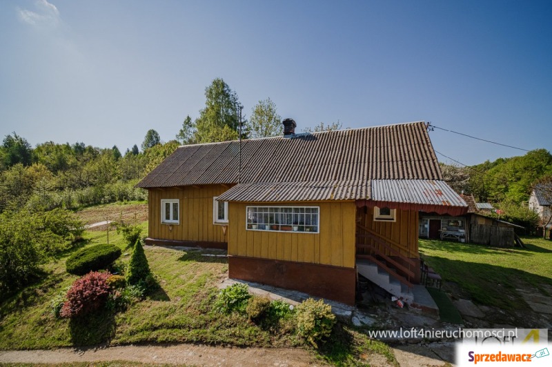 Sprzedam dom Kamienica Górna - ,  pow.  60 m2,  działka:   11 600 m2