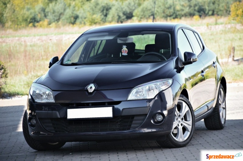 Renault Megane  Hatchback 2009,  1.9 diesel - Na sprzedaż za 15 900 zł - Ostrów Mazowiecka