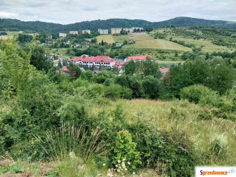 Przetarg - Działki na sprzedaż - Krynica-Zdrój