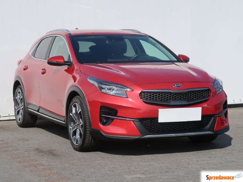 Kia   Hatchback 2019,  1.6 benzyna - Na sprzedaż za 96 999 zł - Bielany Wrocławskie