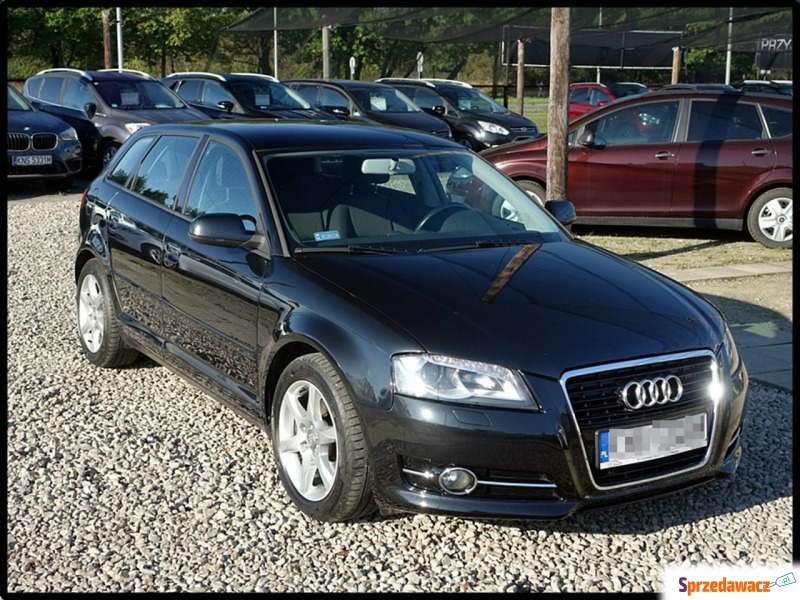 Audi A3  Hatchback 2010,  1.6 diesel - Na sprzedaż za 27 990 zł - Nowy Sącz