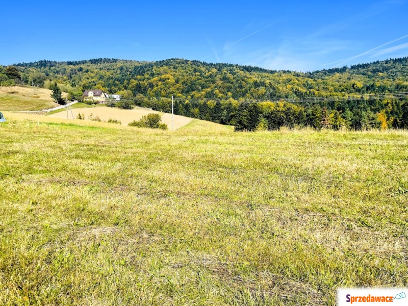 Działka budowlana Żurowa sprzedam, pow. 1200 m2  (12a)