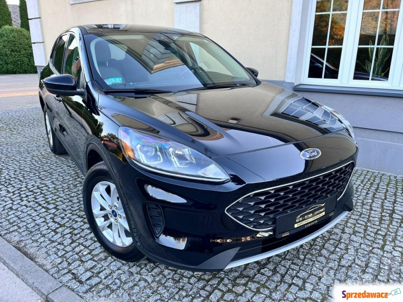 Ford Escape  SUV 2020,  1.5 benzyna - Na sprzedaż za 87 900 zł - Chlewice