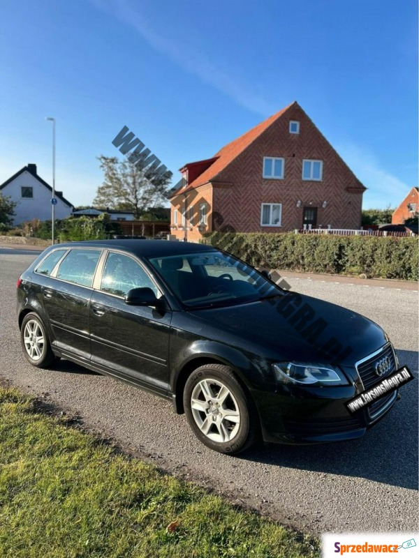 Audi A3  Hatchback 2009,  1.6 diesel - Na sprzedaż za 26 500 zł - Kiczyce