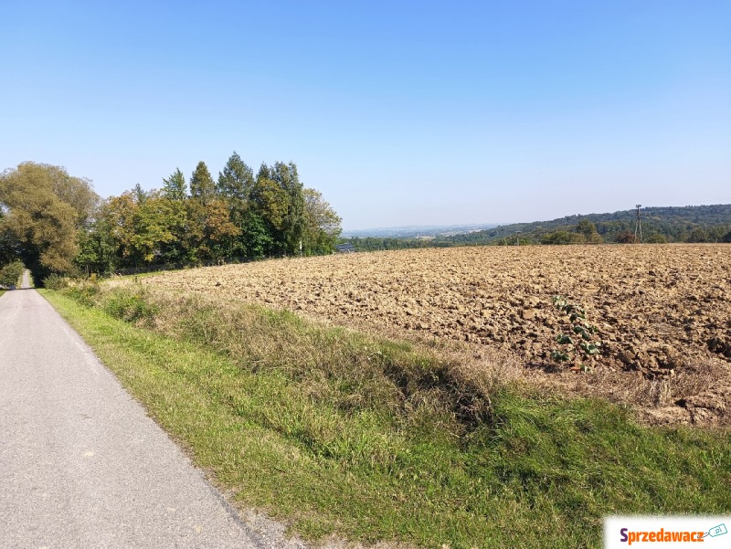 działka rolno-budowlana na sprzedaż - Działki na sprzedaż - Wiśniowa