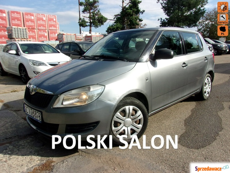 Škoda Fabia - Klimatyzacja, Polski Salon, ABS,... - Samochody osobowe - Cieszyn