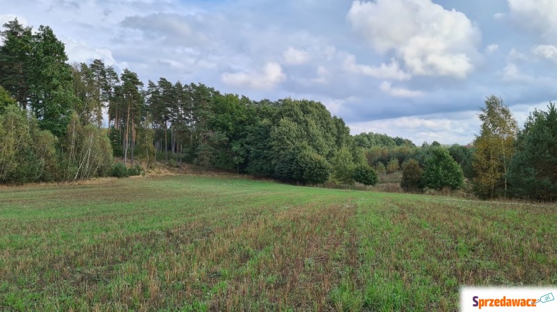 Przetarg - Stary Wiec - Działki na sprzedaż - Stary Wiec