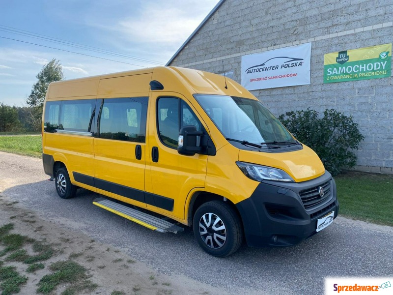 Fiat Ducato  Minivan/Van 2020,  2.0 benzyna+CNG - Na sprzedaż za 57 195 zł - Cichawy