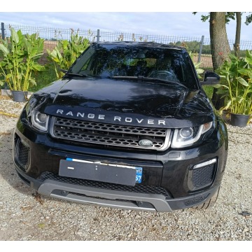 Land Rover Range Rover Evoque  SUV 2017,  2.0 diesel, automat - Na sprzedaż za 27 999 zł - Pleszew - zdjęcie 3