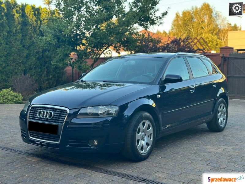 Audi A3  Hatchback 2007,  1.8 benzyna - Na sprzedaż za 22 800 zł - Tarnowskie Góry