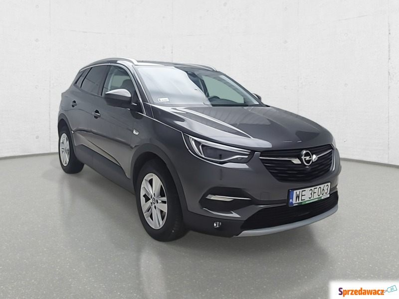 Opel Grandland X - 2020 - Samochody osobowe - Komorniki