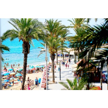 *Słonce, błękitne Niebo + Plaża = Costa Blanca... - Wczasy, wycieczki, urlop - Katowice - zdjęcie 6