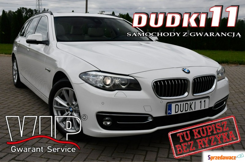 BMW 525 - 2,0d DUDKI11 Serwis,Asystent.Pas.Ru... - Samochody osobowe - Kutno