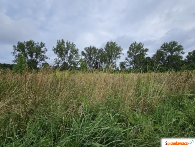 Działka budowlana na sprzedaż, 2722m², Główczyce - Działki na sprzedaż - Główczyce