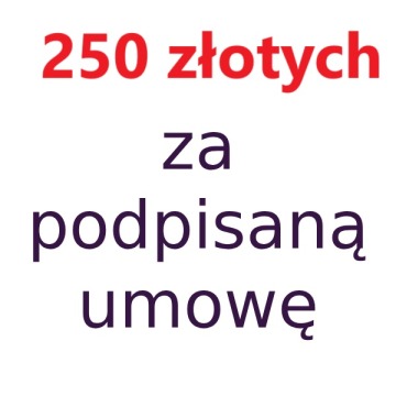 Umieszczę u Ciebie małą reklamę