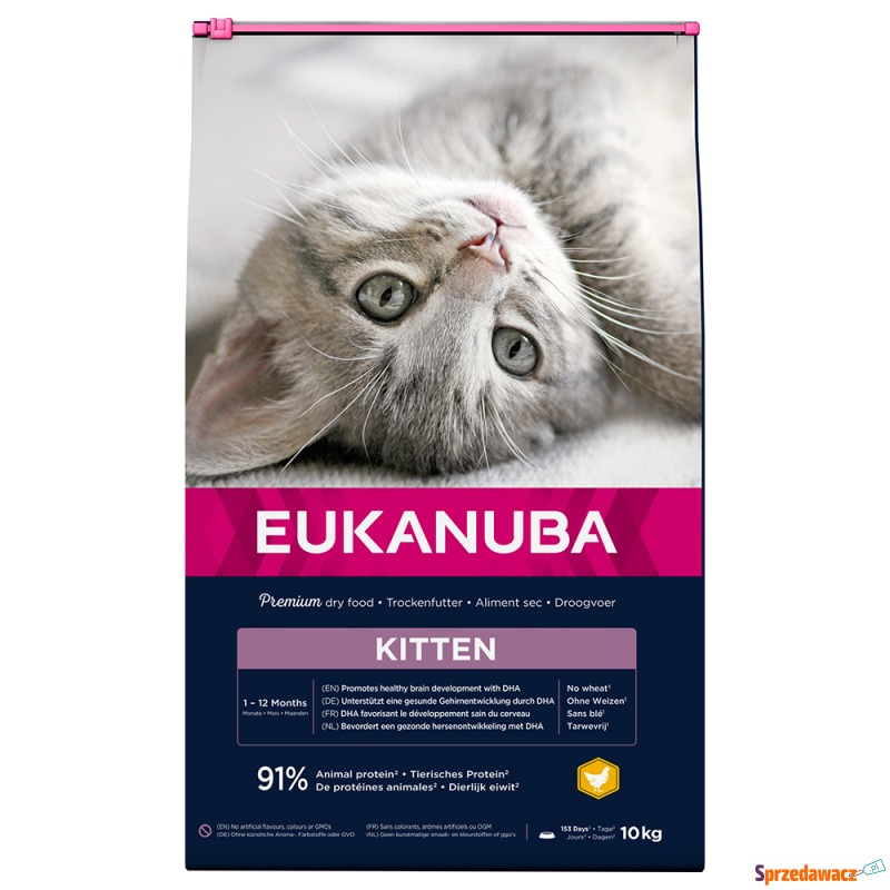 Eukanuba Healthy Start Kitten - 2 x 10 kg - Karmy dla kotów - Inowrocław