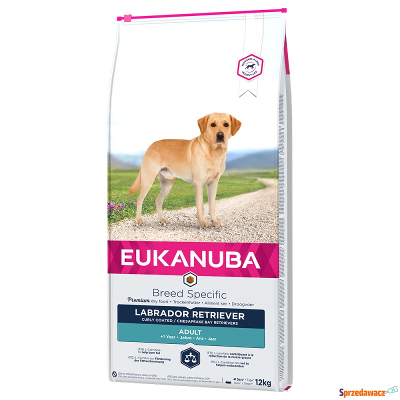 Eukanuba Adult Breed Specific Labrador Retriever... - Karmy dla psów - Katowice