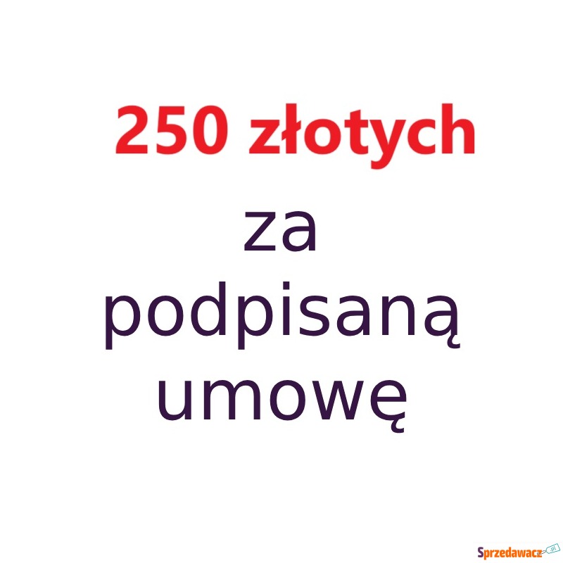 Zlecę umieszczenie reklamy - Reklama, marketing - Nowy Sącz