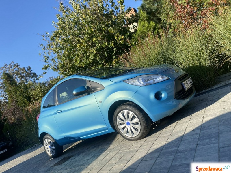 Ford KA  Hatchback 2010,  1.3 benzyna - Na sprzedaż za 13 900 zł - Poznań