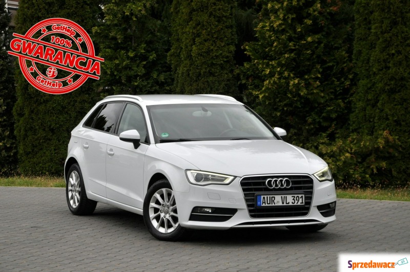 Audi A3 - 1.6TDI(105KM)*Bi-Xenon*Led*Klimatro... - Samochody osobowe - Ostrów Mazowiecka