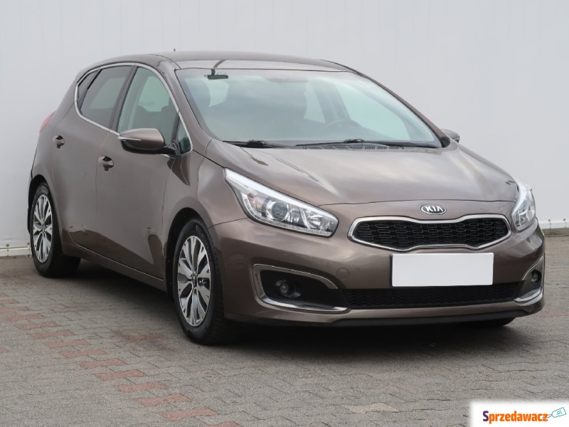 Kia Ceed  Hatchback 2016,  1.6 benzyna - Na sprzedaż za 46 999 zł - Bielany Wrocławskie