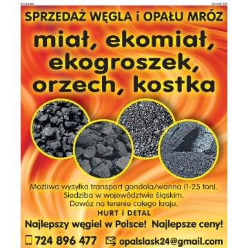 Promocja!!!  PGG Tauron Węgiel Orzech 23-26klasa Szybka Dostawa