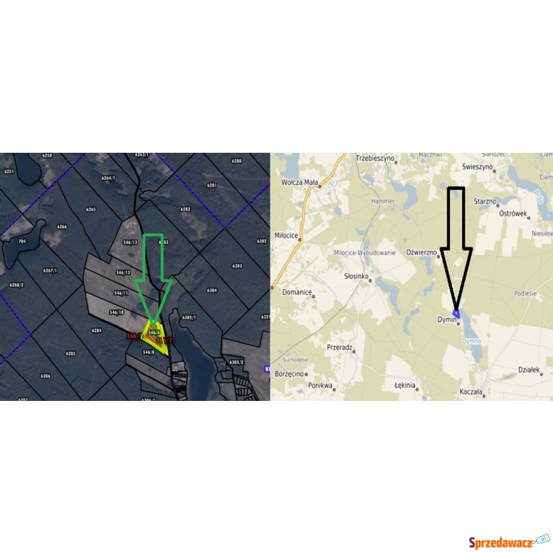 Działka rolna na sprzedaż, 56134m², Koczała - Działki na sprzedaż - Koczała