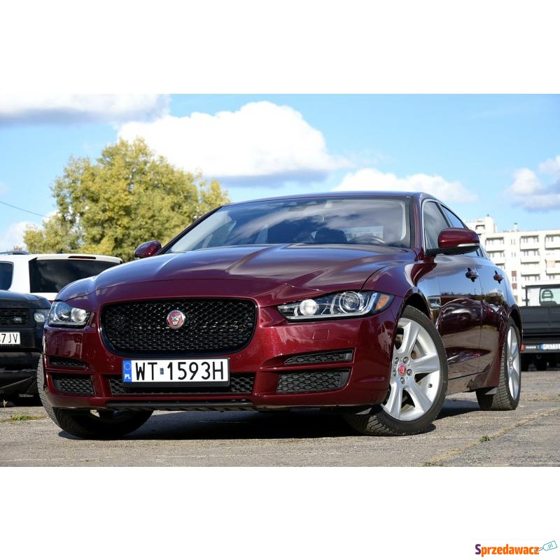 Jaguar XE  Sedan/Limuzyna 2017,  2.0 benzyna - Na sprzedaż za 64 900 zł - Warszawa