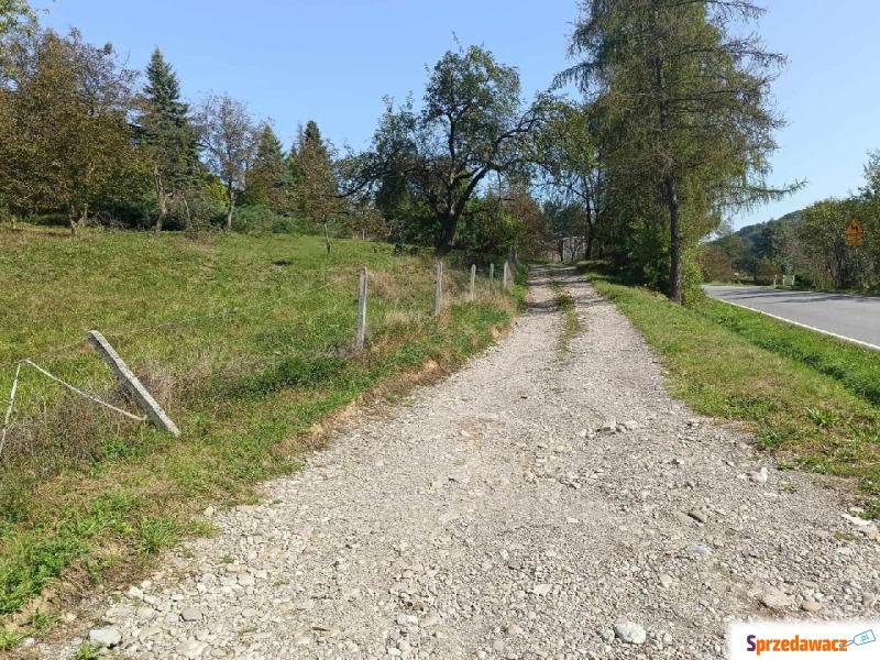 Działka budowlana Janowice sprzedam, pow. 19 000 m2  (1.9ha), uzbrojona