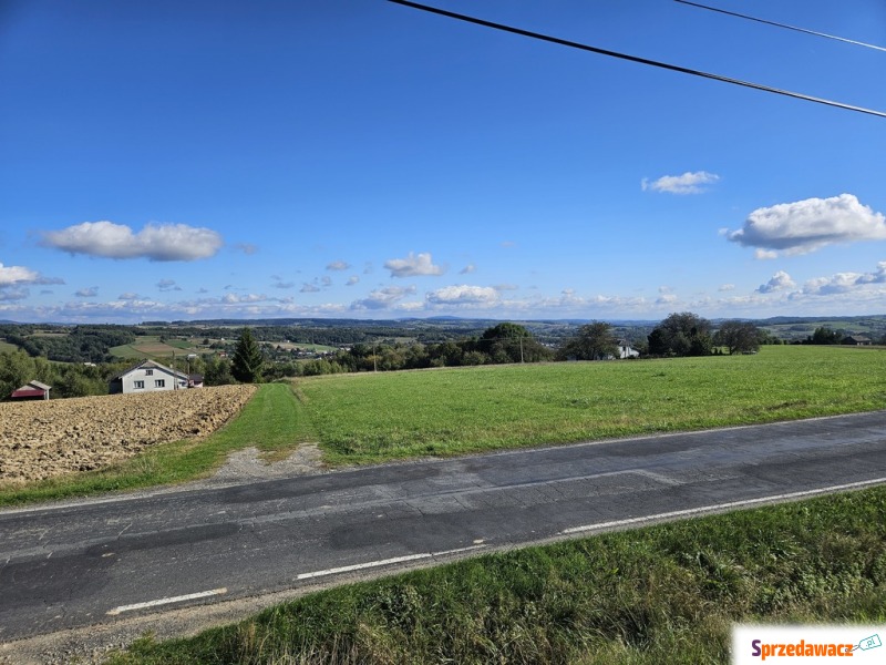 Działka leśna Moszczenica sprzedam, pow. 8100 m2  (0.81ha)